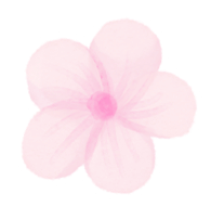 打卡去！信阳这里的樱花开了......