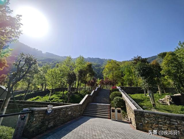 理小路环线今日风景！