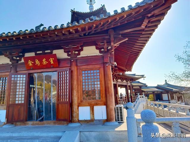 大雪时节，来汤山金乌公园泡温泉、赏美景（下）