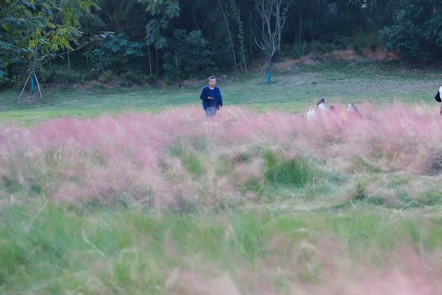 组图：深秋粉黛 邂逅城中小浪漫