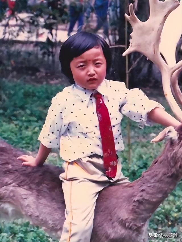 面子里子全没了！7年赔2亿的邹市明，被妻子亲手撕下最后“体面”