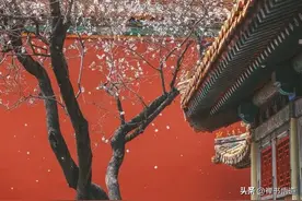 毛主席书韩翃《寒食》诗，精致的笔法，优雅的气度图片