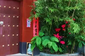 俗语“门前有三树，家宅不安宁”，哪三种树？有啥说法？图片