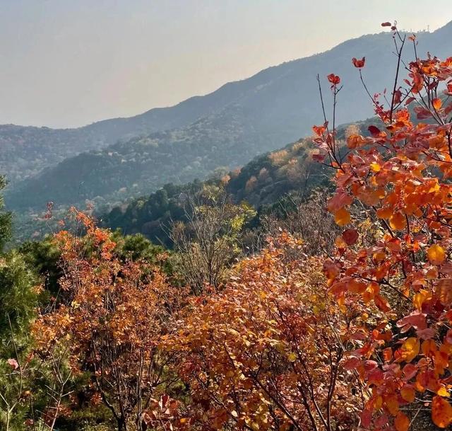 渭南文坛 | 王磊：我陪父母逛北京