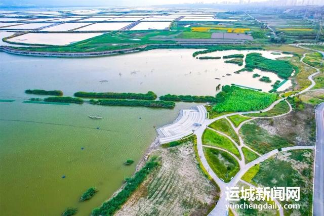 运城：城市公园拔节生长