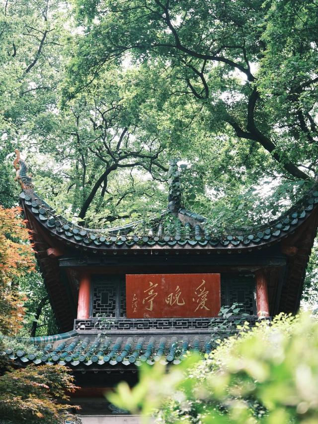 长沙玩必备！开通畅行无忧卡·潇湘卡，弱电没网都能刷！