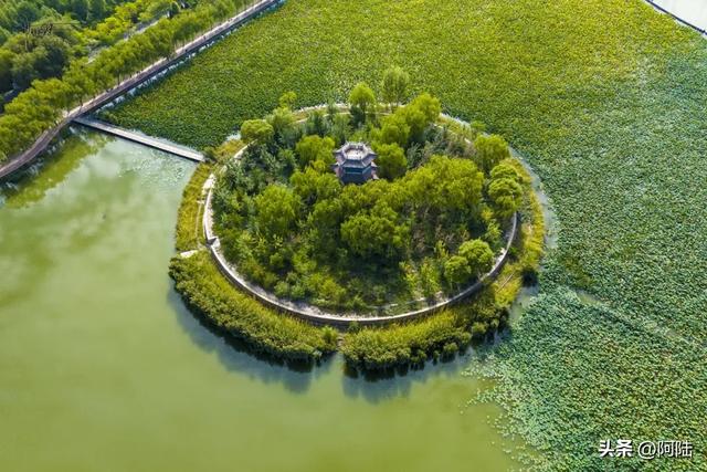 张掖润泉湖的生态风光绰约,它还是甘肃省首座国家级城市湿地公园