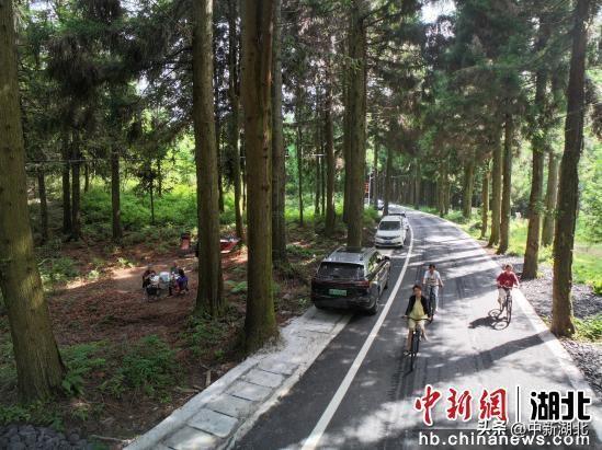 湖北巴东：“凉资源”打造康养热经济