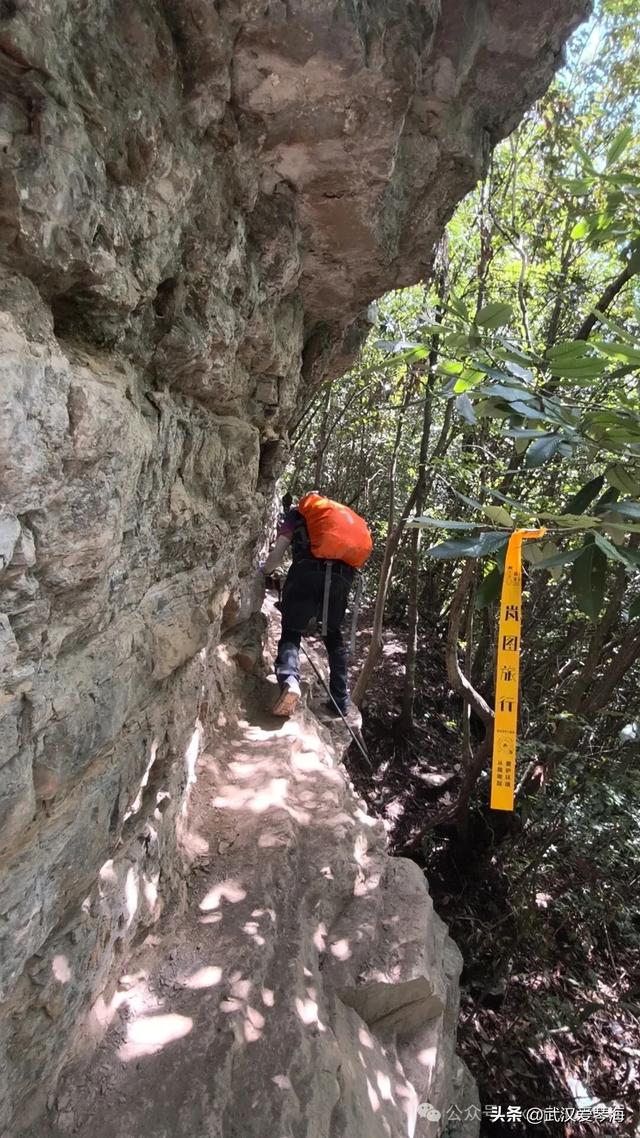 徒步利川朝东岩：华中绝壁的震撼与隐忧，环保徒步爱好者的见闻