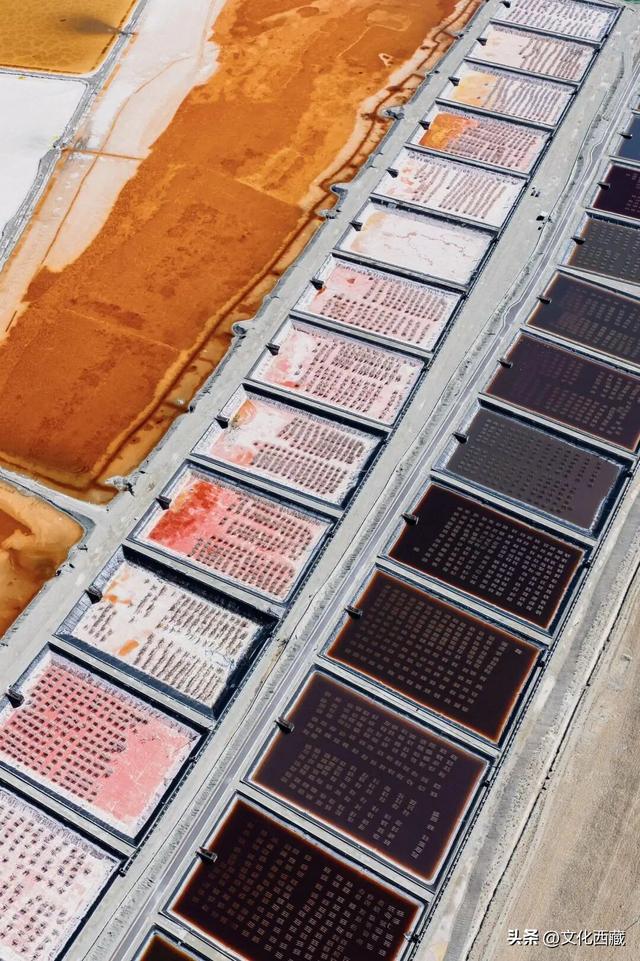 不用去澳大利亚！中国西藏有自己的粉红湖，颜值爆表，人少还免费！