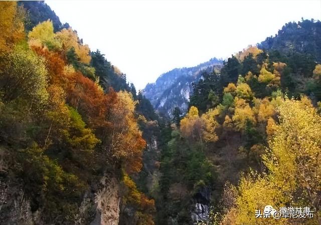 康多峡秋景：一场不可错过的视觉盛宴