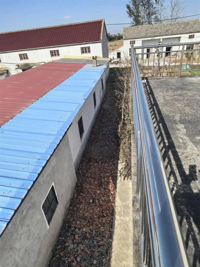 20岁高中生上学途中被邻居恶意撞亡，王某桂一审被判死刑；两家存在邻里纠纷曾报警，被告人心存报复