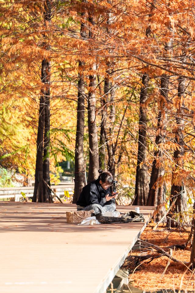 常州的秋，醉了