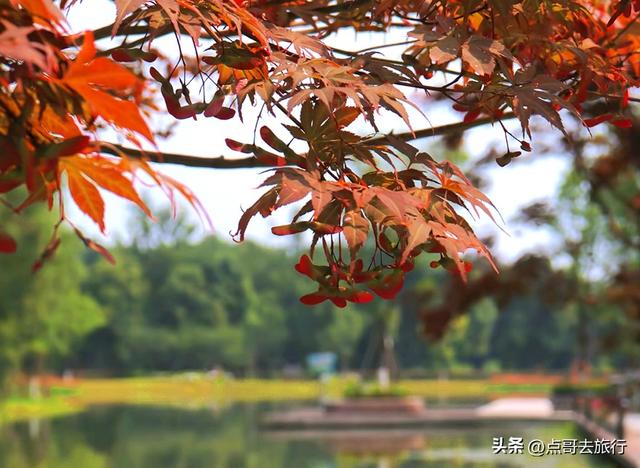 成都4大赏秋超美村庄，其中一个被称为成都小丹巴，都不要门票！