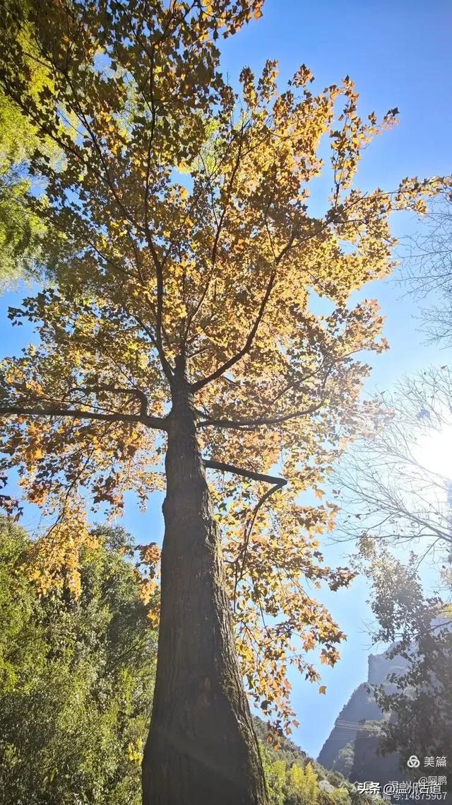 踏秋胜地，天脊龙门！浙江这个4A级景区已美成童话，等你来打卡