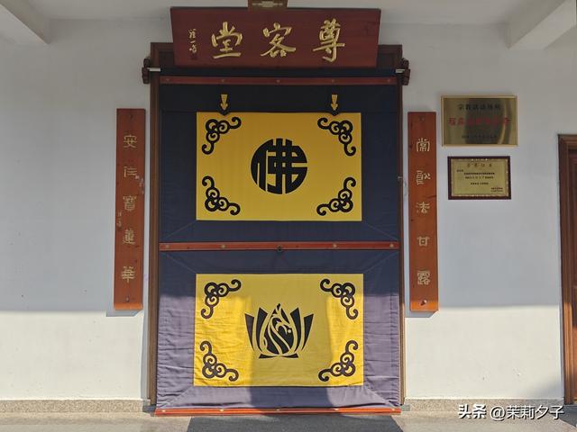 福鼎市区一日游：从白茶发源地到市井小吃赏唐风建筑品山海韵味