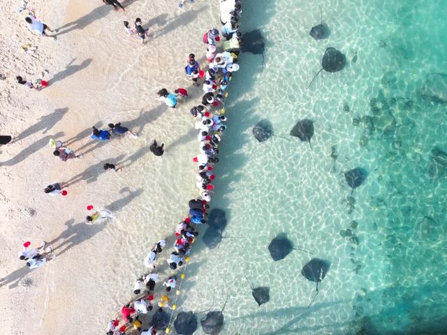 分界洲岛错峰游 | 摸鱼、玩海玩到飞起～