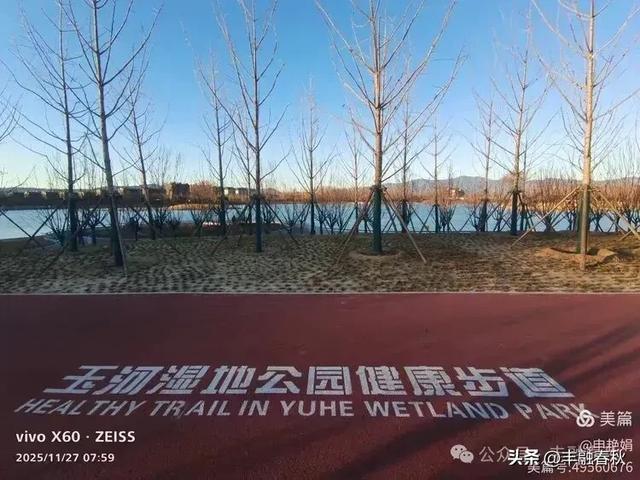 初冬北京玉河湿地公园游记|申艳娟