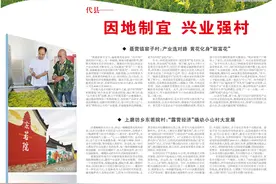 代县：因地制宜 兴业强村图片