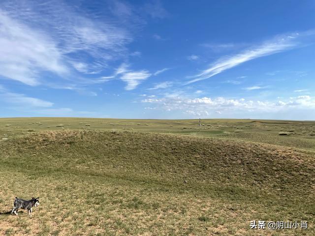 固阳银号镇，达茂旗额尔登敖包苏木、百灵庙镇夹皮沟田野考察笔记