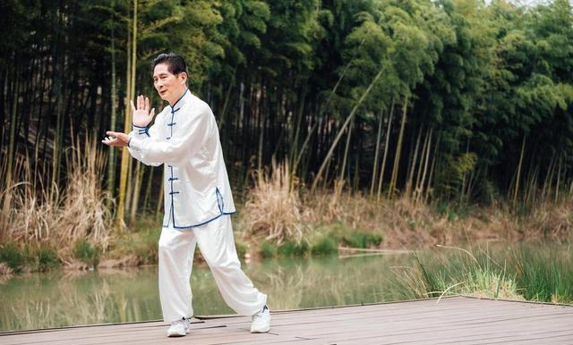 太极拳的打法不是慢动作！3个核心，学会以柔克刚