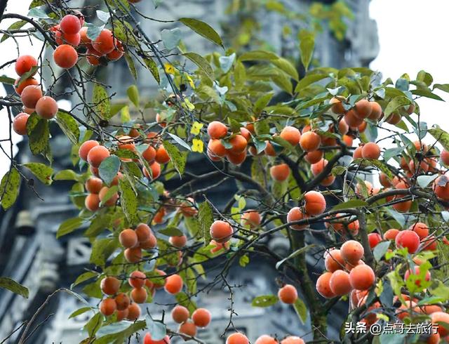 成都秋天最值得去的古场镇，每一个都惊艳，不要门票，公交可达！