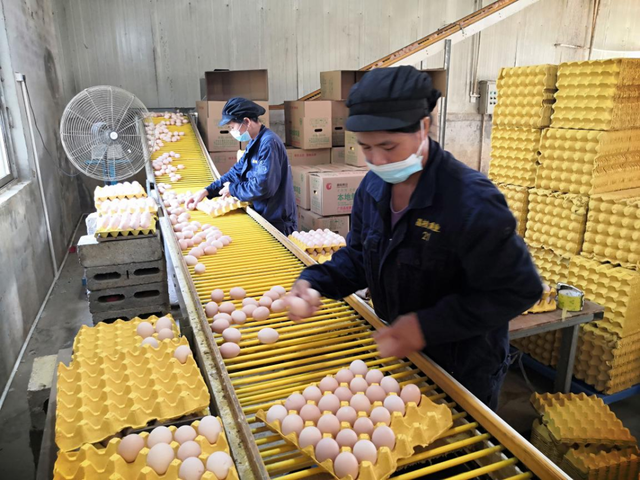 【沿“线”寻味】沿着刚通车的南凭高铁，寻找藏在崇左乡野的“桂字号”