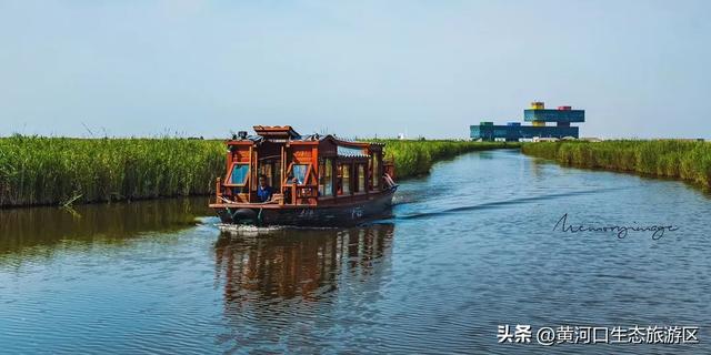 【黄河口生态旅游区】开学季 奔赴自然之美