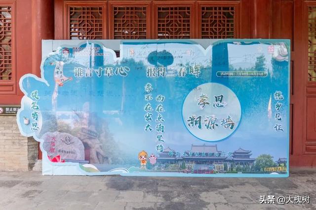 洪洞大槐树景区夏日好戏连台孝德文化节让传统与欢乐撞个满怀
