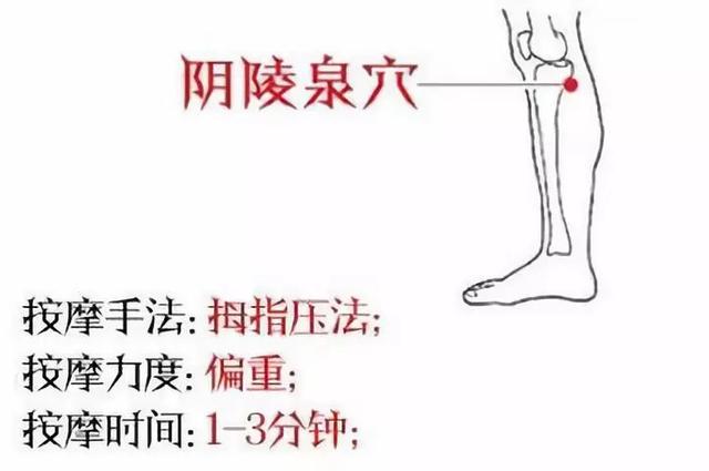 阴陵泉穴：健脾祛湿的小腿主力穴！位置功效全指南，解决水肿湿重