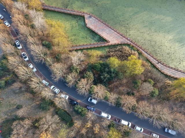 温县滨河公园，耐看！