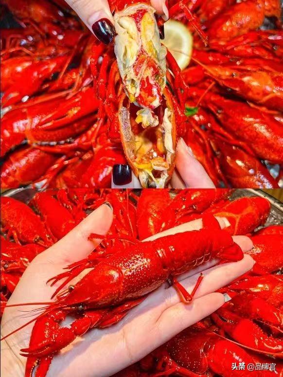 闭店率高达37.2%！称霸宵夜摊的“顶流”开始凉了？曾排队2小时