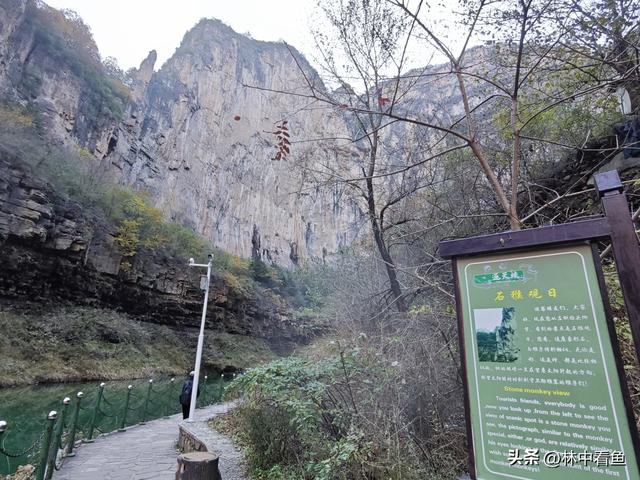 过周日找寻山水景，遇免费畅游通天峡——山西平顺通天峡游记