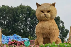 昆明海埂公园｜绣球花奔来花展，赏花正当时！（附攻略）图片
