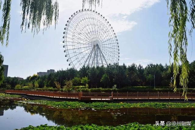 一园秋景绘凉州 诗意斑斓韵自悠