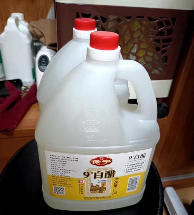 蚂蚁怕啥怎样灭蚂蚁：揭秘蚂蚁的克星消灭法门
