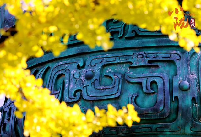 【小陇画报·437期】初冬，礼县美的像“油画世界”