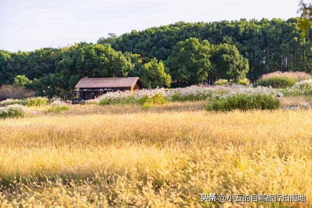 良渚古城一日游攻略｜穿越 5000 年文明，高效打卡世界遗产