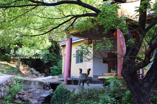 浙江宁波的登山步道，被人誉为宁波的满觉陇，丛林秘境真的太美了