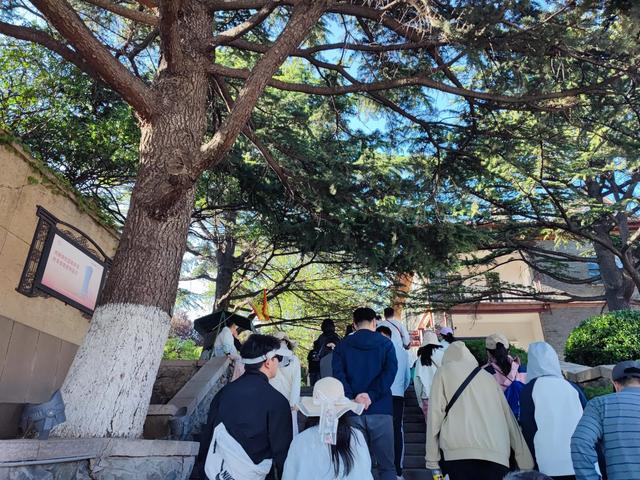 烟台山，又一次的遗憾