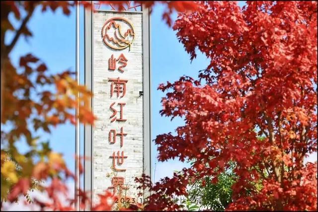 沉浸式感受韶关新丰绝美秋色！ 2天1夜赏枫露营品美食，徒步泡温泉，一起去躺平 ！