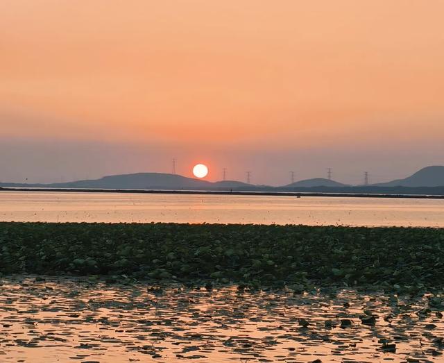 滕州微山湖红荷湿地：秋日限定的诗意画卷