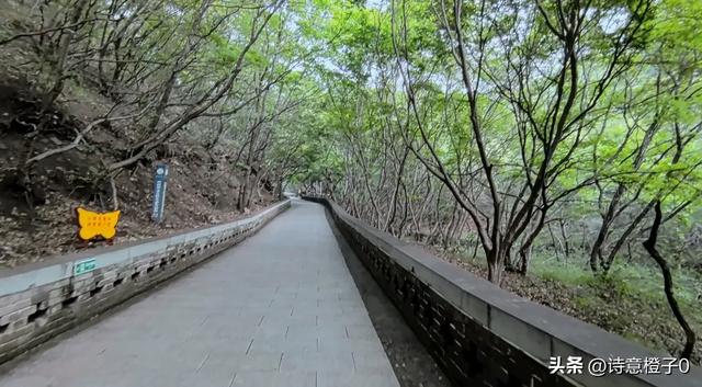 盂县水神山: 风景秀美 避暑圣地