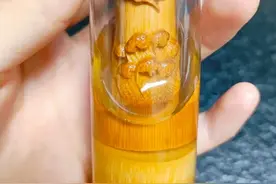 玉竹泡油，玉化不愁，多泡一天，法力无边图片