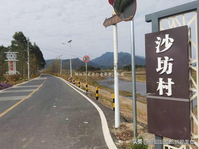 清远连州“石”姓聚居的千年古村，乡村路种满银杏树，秋韵感觉浓