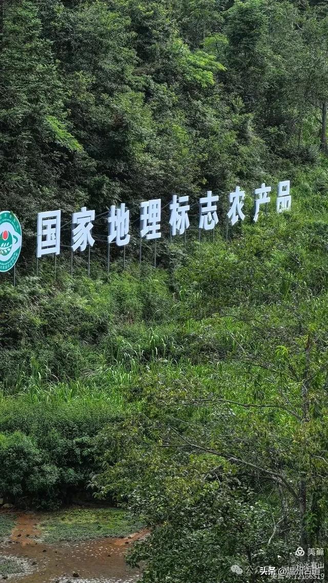 逃离热浪！去“浙南之巅”这片小众山间秘境，一键解锁夏日清凉！