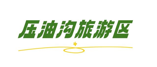 临沂“村”游必打卡清单，赶紧码住！