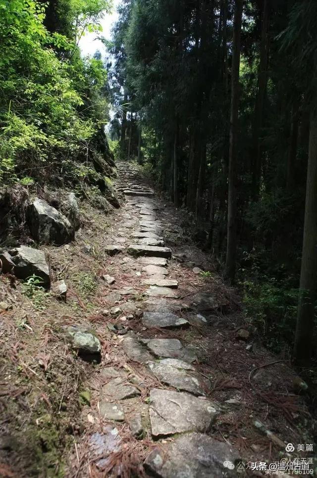 始建于唐朝！原来温州境内这条文献记载历史最早的廊桥藏在这里！