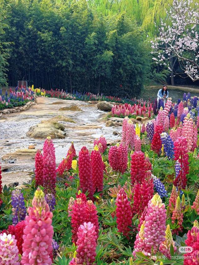 临沂春假旅行指南，请查收