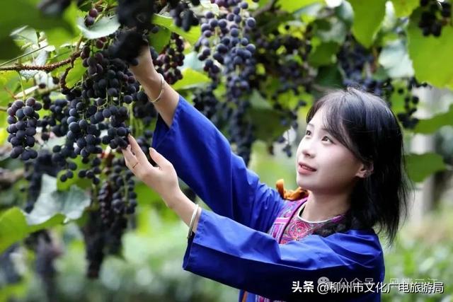 龙城今夏变“顶流”！柳州暑期“热力值”爆表